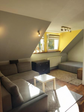 Mieszkanie / Apartament centrum blisko szlaków i wyciągów !!!, Szklarska Poręba